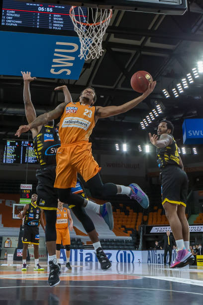 他们在国际 他们在国际